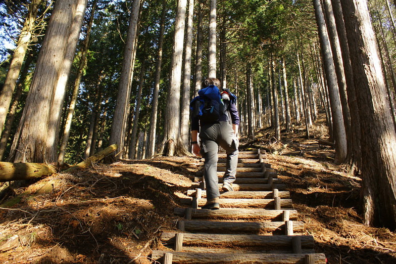 高松山ハイキングコース