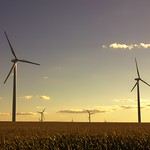 Energy Fields Wind turbine farm just west of Tracy, MN