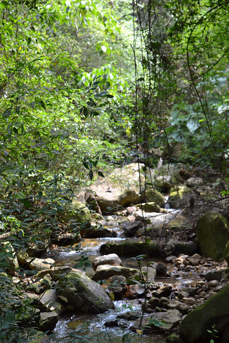creek photography photo foto camilo riachuelo arroyo andrés fotografía suárez pandi kamian guanahani cundinamrca
