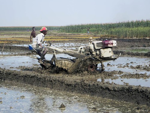 tractor river bangladesh paddies jamuna riice