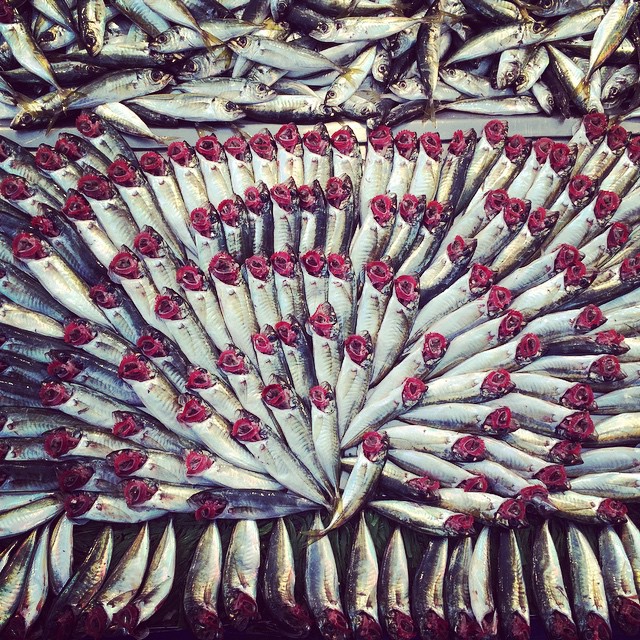 Fishy #Istanbul #theothertour #esenler #pazar #blacksea #seafood #turkey