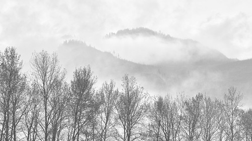 landscape fog clouds trees mountains nature outdoors pacificnorthwest canoneos5dmarkiii canonef100400mmf4556lisusm highkey blackandwhite washington
