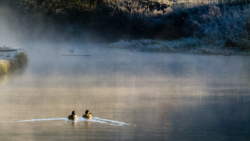 Paddling off into the mist