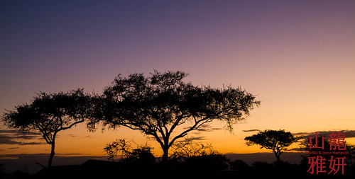 sunrise landscape tanzania safari serengetinationalpark seroneraregion tzday03 africanwildcatsexpeditions