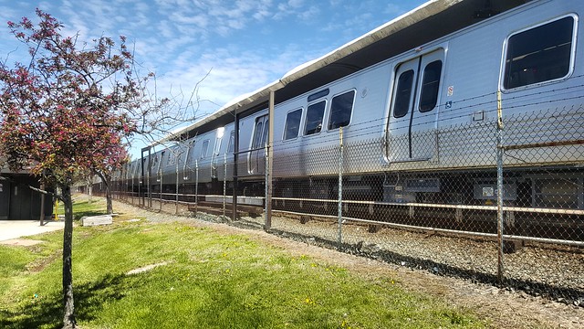 7000-Series train at Shady Grove