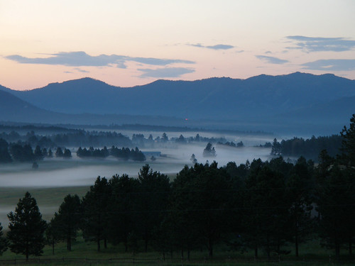 Fog creeping in | by unforgivn1