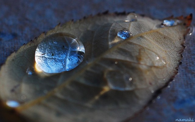 droplet-blue-brown