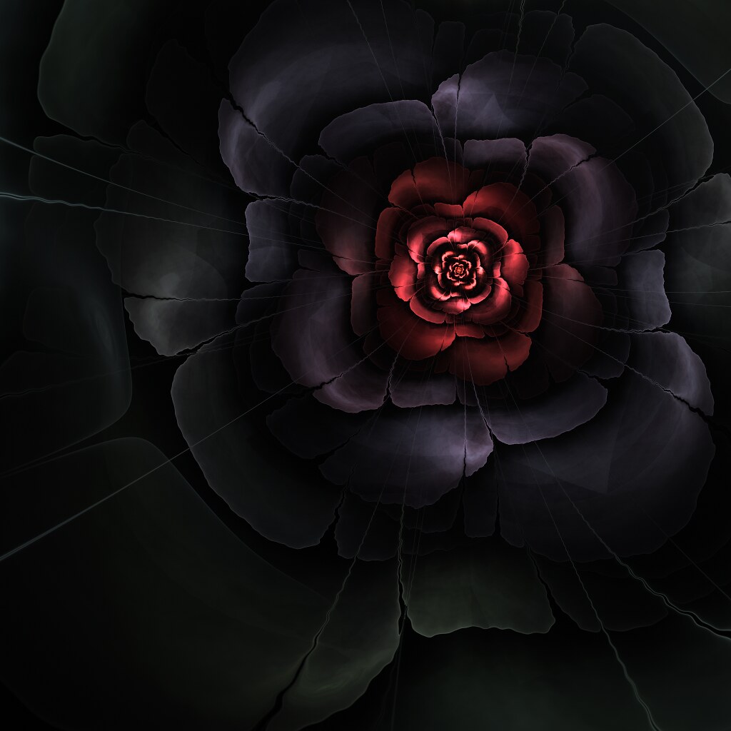 black red flower