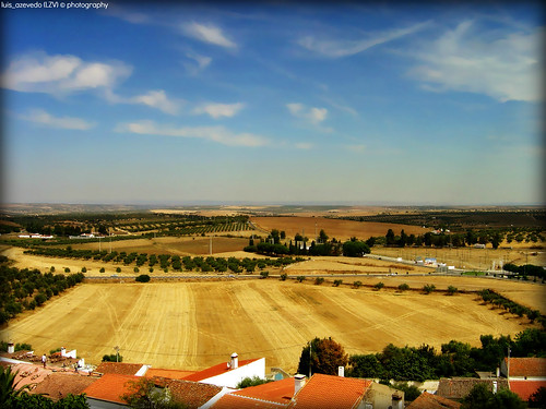 portugal nature golden europe wheat fields plains alentejo serpa openfields openskies luisazevedophotography lzvphotography