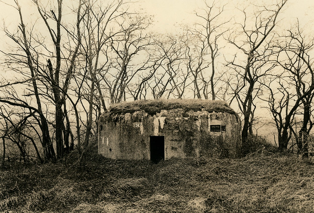 Bunker Idyll
