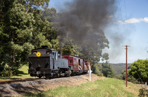 australia trains victoria steam pbr menziescreek puffingbilly youngsunspecial 2014bestof