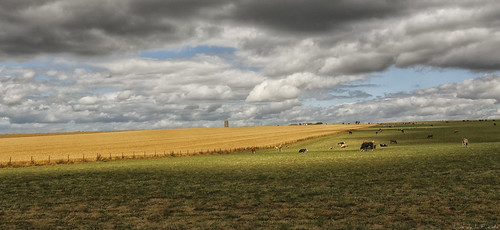 countryside uk stonehenge sun cloud cloudy grass cows blue sky green yellow