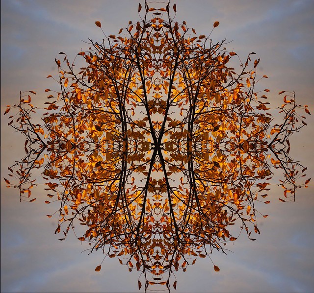 Autumn kaleidoscope