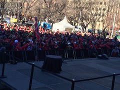 Stampeders Grey Cup Celebration Rally