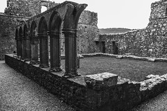 Fore Abbey_09