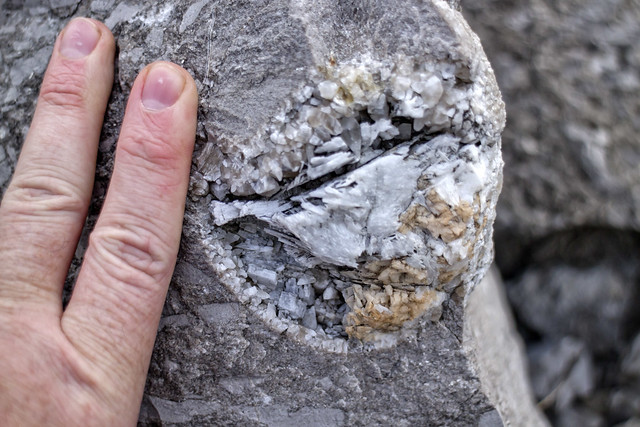 Calcite vug, Lebanon Limestone, Wilson County, Tennessee