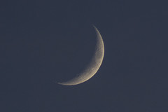 Waxing Crescent Moon on Christmas Day