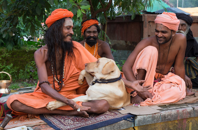 Playing with a dog, group of travelling sadhus