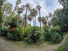 Jardim Botânico da Universidade de Lisboa
