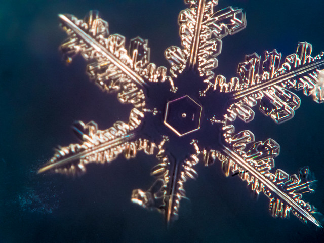 Macro of a snowflake