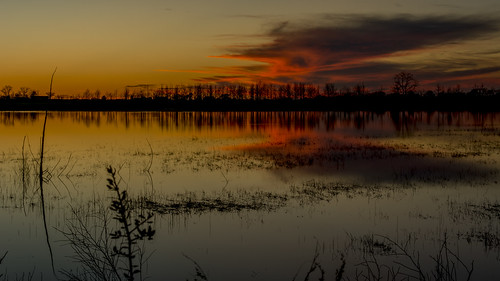 light sunset sky color reflection nature water clouds landscape nikon alabama d7100