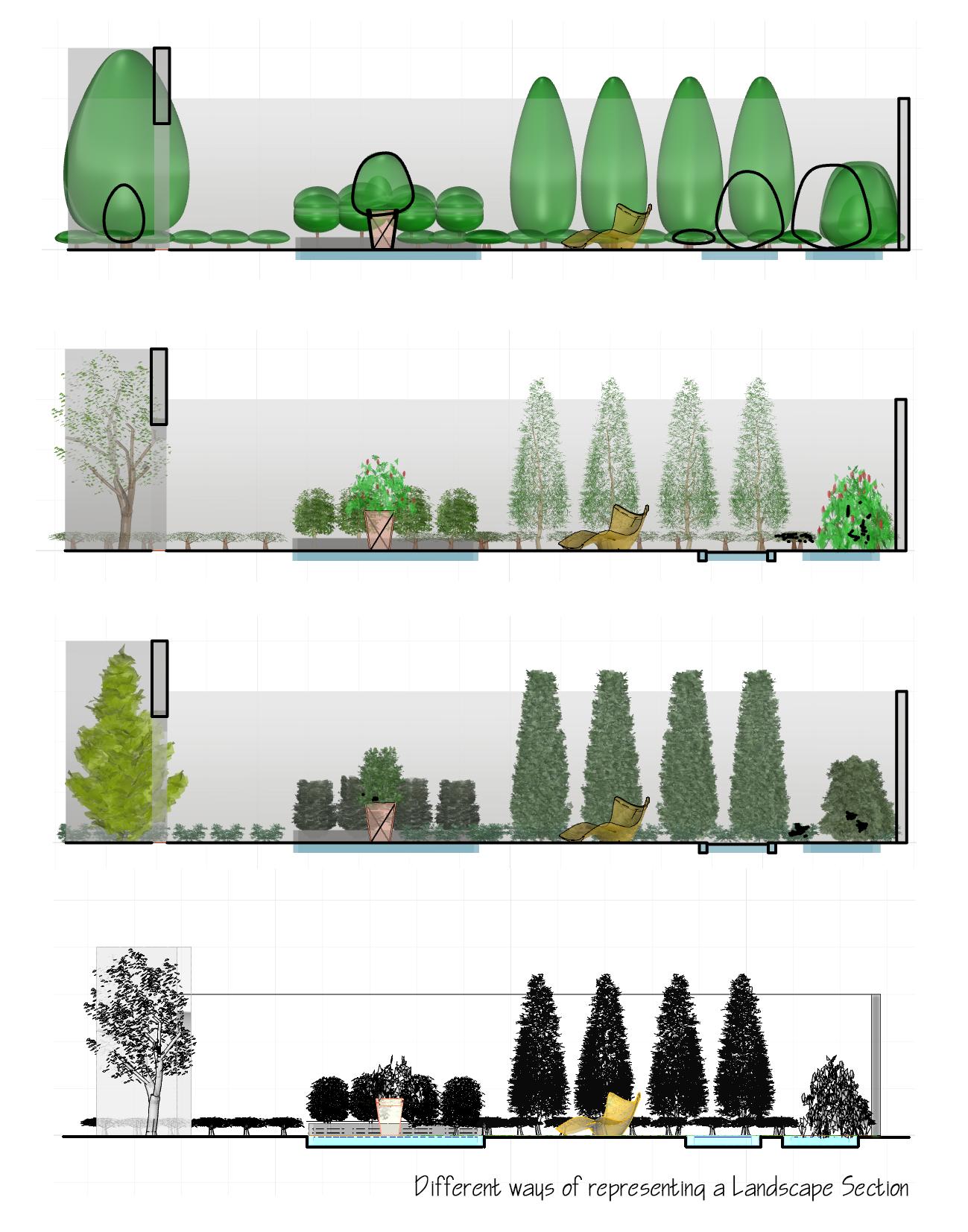 LONGITUDINAL Sections in different display modes. Ponds Garden