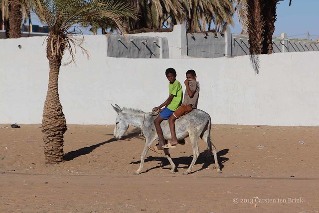 Nubian boys astride a donkey, one playing shy [bc0503]