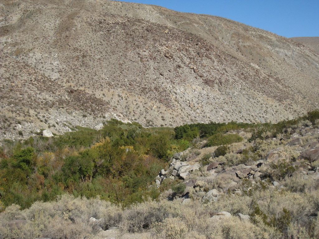 Lower Willows Trail
