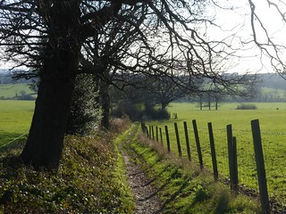 Looking back down the hill (para 28) Totteridge Circular walk