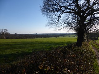 Looking down on Alexandra Palace (para 287) Totteridge Circular walk