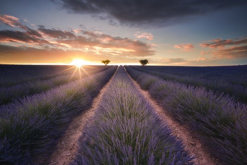 lavender sunset | by Gian Paolo Chiesi