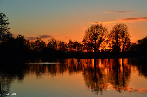 trees sunset reflection water netherlands nikon sundown waddinxveen ©allrightsreserved tweegje nikond7000