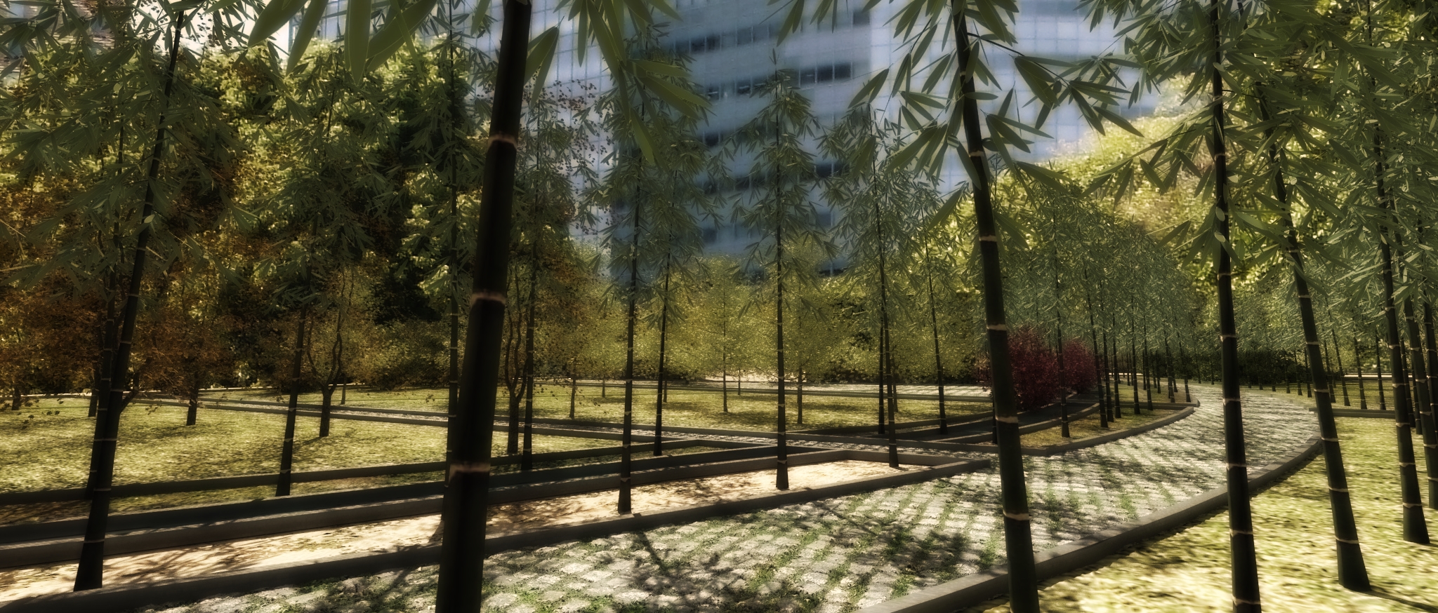 bamboo path_2_filter