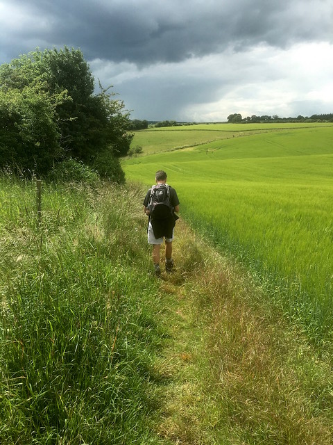 Fields just before lunch Hanborough to Charlbury walk