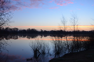 Testwood Lakes