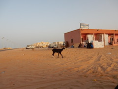 Road Trip Mauritania