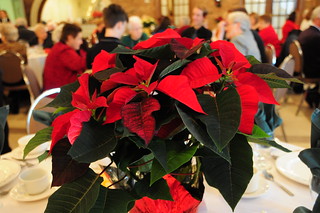 The District 7 RTO/ERO Fall Luncheon was held at the Fogular Furlan Club in Windsor, Ontario.  The venue was decorated beautifully for the holiday season.  The turkey dinner was outstanding.  There were approximately 70 retirees in attendance. 
The guest speaker was June Szeman, newly elected Provincial RTO/ERO President. 
The Leore Graham Distinguished Member Award was presented to Ken Attridge and to Gord Miall.  
Tickets were sold for a 50/50 Draw and $124.50 was raised to be donated to the Jumpstart Breakfast Program in the local school boards. 
Entertainment was provided by students and their tutor from Walkerville High School.  They played several classical guitar pieces.  
