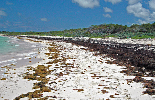 Strand Beach