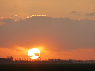 The Dutch sun