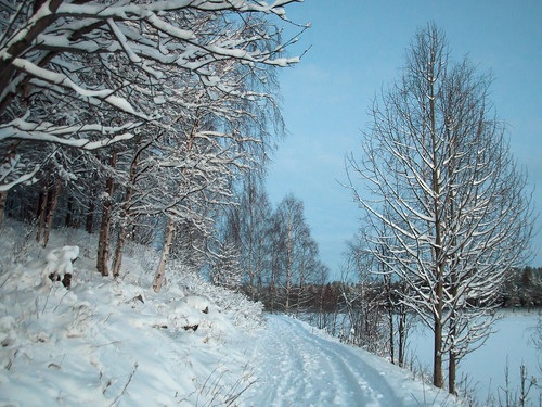 trees winter lake snow tree forest vinter sweden path skog snö stig träd sjö luleå norrbotten nikond90 bergnäset höträsket nikkorafsdx18105mmf3556gedvr