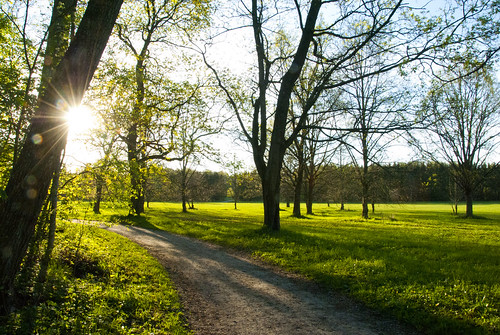 green spring springtime vår grön ulriksdal grönt