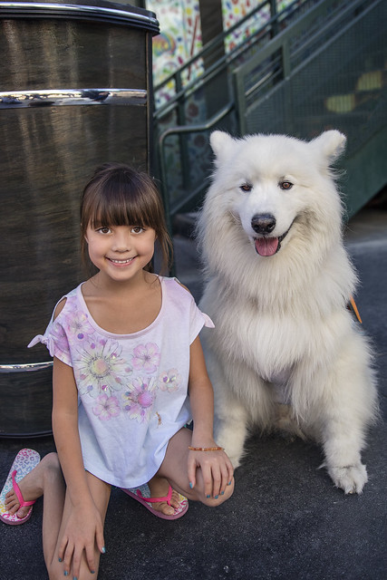 Reese and Cody the Samoyed Prince