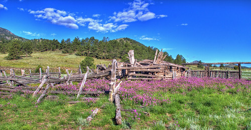 flowers abandoned landscape ruins colorado shed meadow hdr