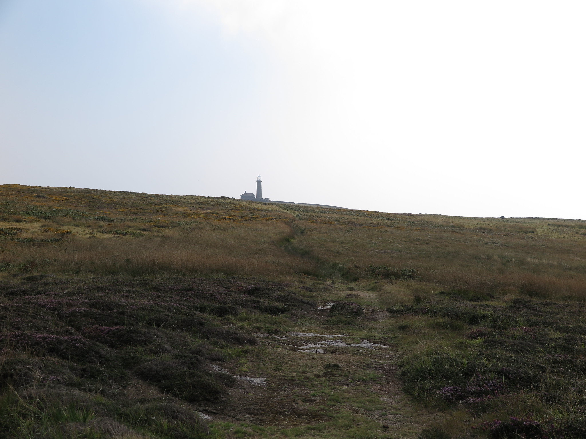 (Lundy Trip)