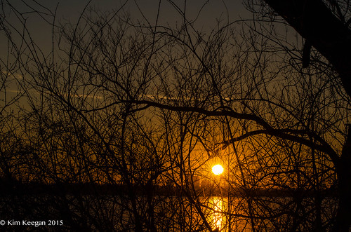 winter sunset ohio lake ice nikon branches january dayton 2015 eastwoodmetropark nikond5100 kkfrombb