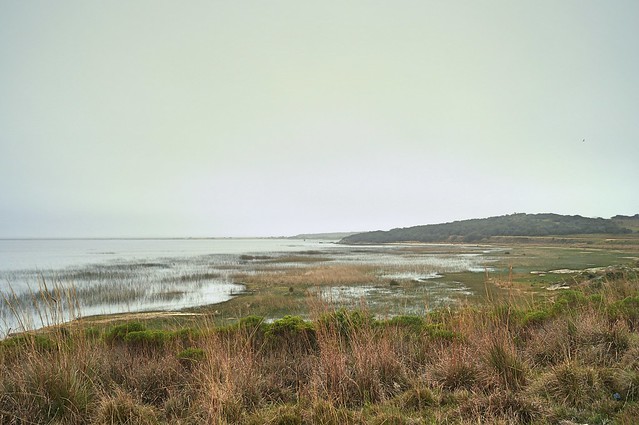 Laguna Negra, Rocha, Uruguay
