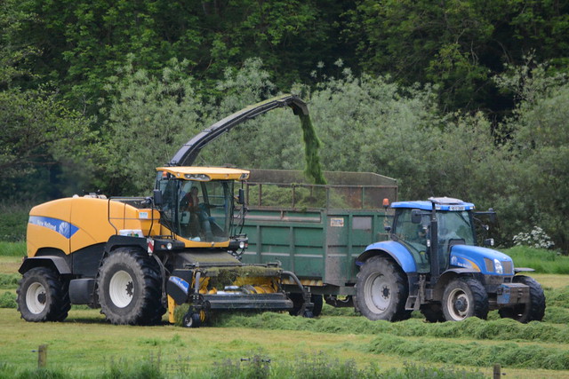New Holland FR9080 SPFH filling a Thorpe Silage Trailer drawn by a New Holland T6070 Tractor