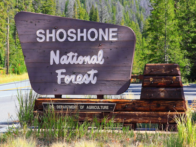 IMG_7345 Shoshone National Forest