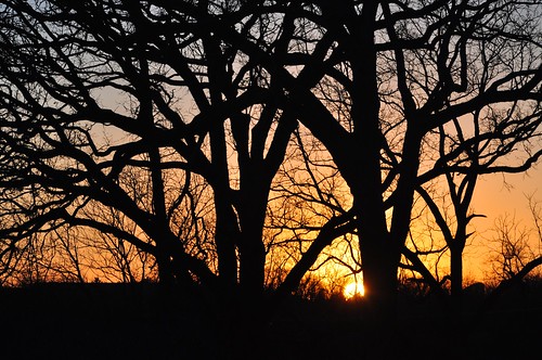 blue autumn trees sunset sky orange sun fall nature colors silhouette gold evening sundown branches horizon