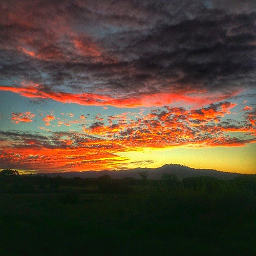 upload by Alibes_Nica, square squareformat iphoneography instagramapp uploaded:by=instagram
